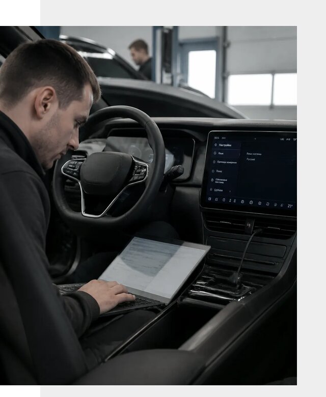 Русификация автомобилей BYD под ключ для всех моделей в Лесосибирске