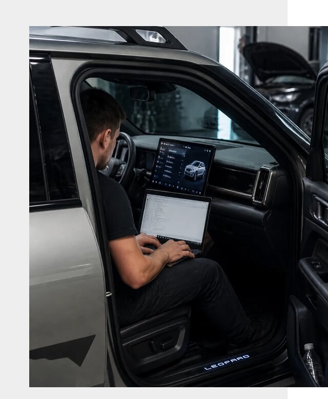 Русификация BYD Leopard 3 в Лесосибирске по цене от 20726 р. | ФастМобиль-Лсс